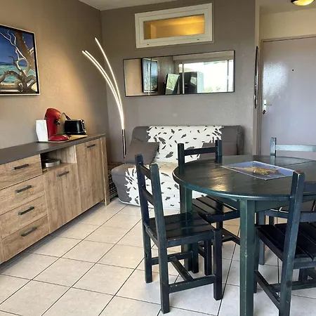 Apartment 2 Pieces Climatise Port Camargue Pc210-032
